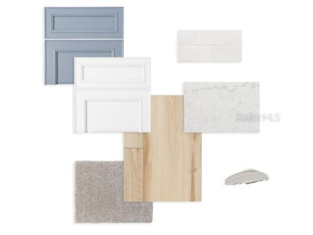 5921 Bristle Oak Street Mount Dora FL 32757 TB8445659 image4