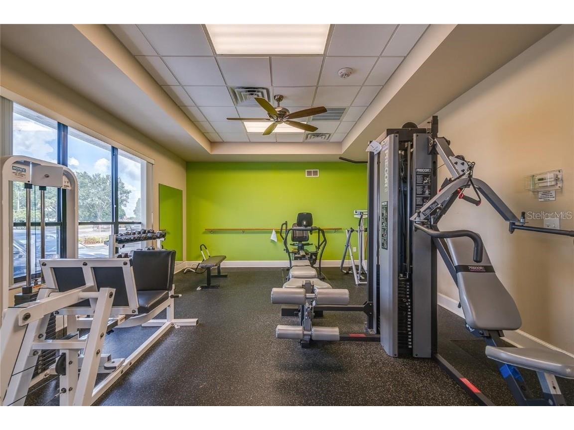 5921 Cormorant Court Lakeland FL 33809 L4953359 image6