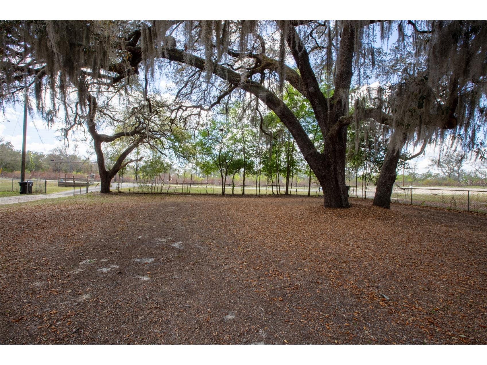 5921 County Road 352 Keystone Heights FL 32656 - WHITE SANDS GC539232 image5