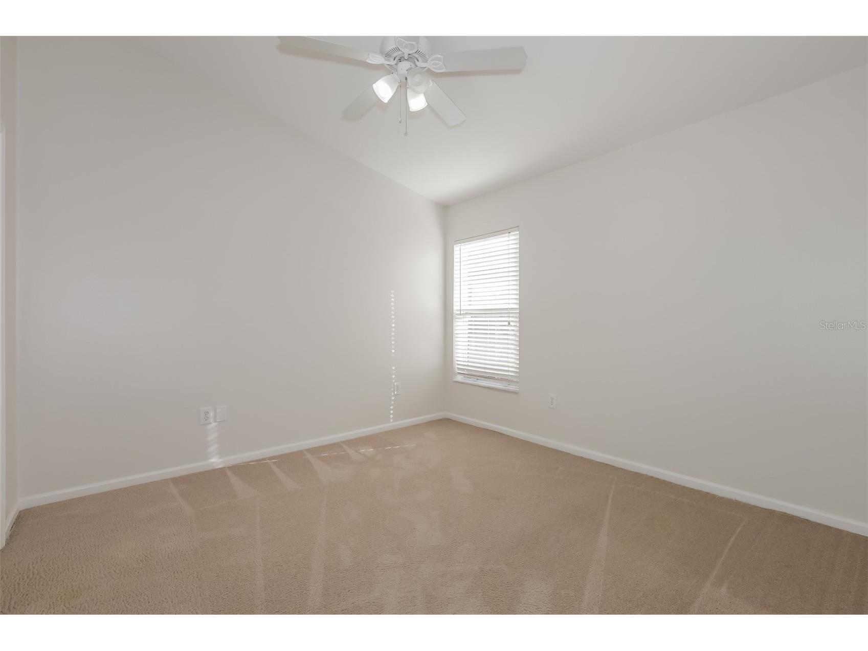 5921 War Admiral Drive Wesley Chapel FL 33544 TB8499890 image13