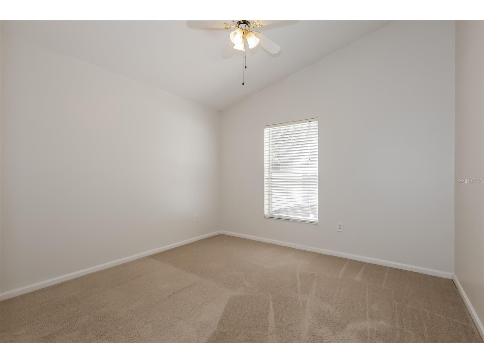 5921 War Admiral Drive Wesley Chapel FL 33544 TB8499890 image14