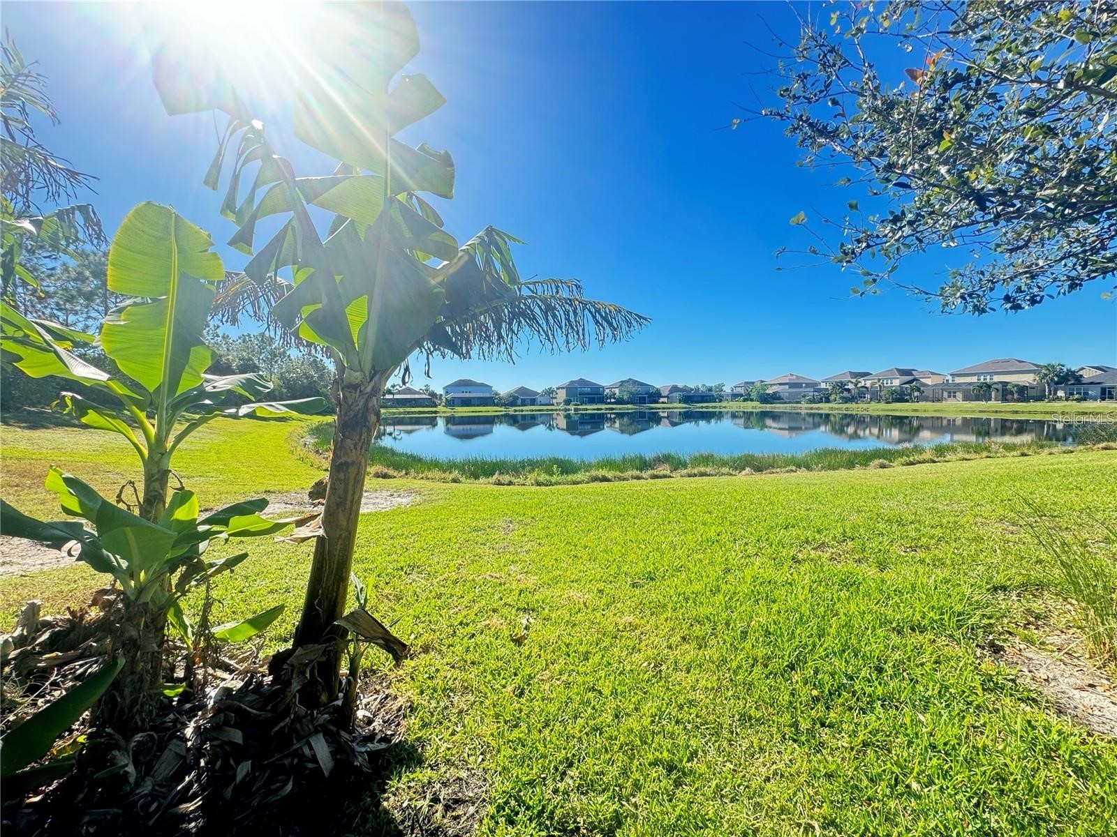 5922 Anise Drive Sarasota FL 34238 A4693142 image23