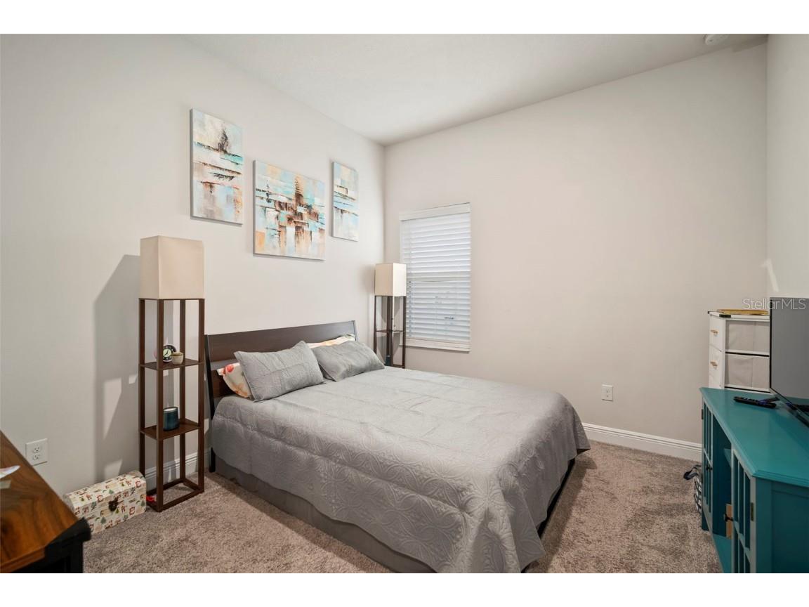 5923 Silver Sun Drive Apollo Beach FL 33572 TB8432101 image22