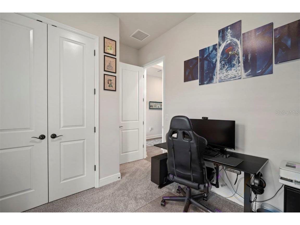 5923 Silver Sun Drive Apollo Beach FL 33572 TB8432101 image25