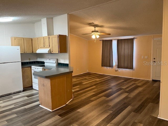 5924 Ashen Avenue New Port Richey FL 34652 TB8444016 image3