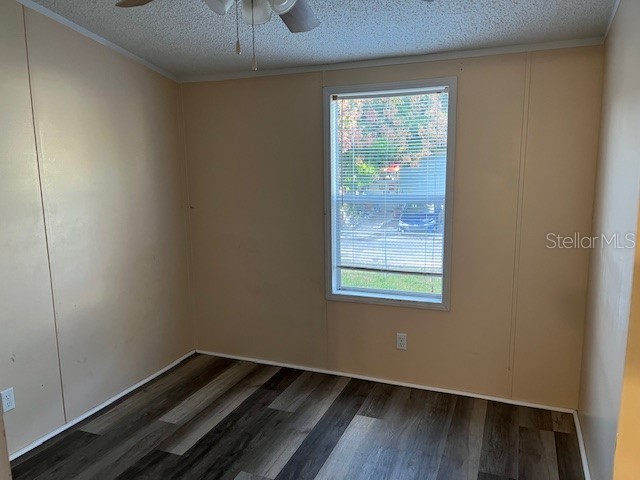 5924 Ashen Avenue New Port Richey FL 34652 TB8444016 image8