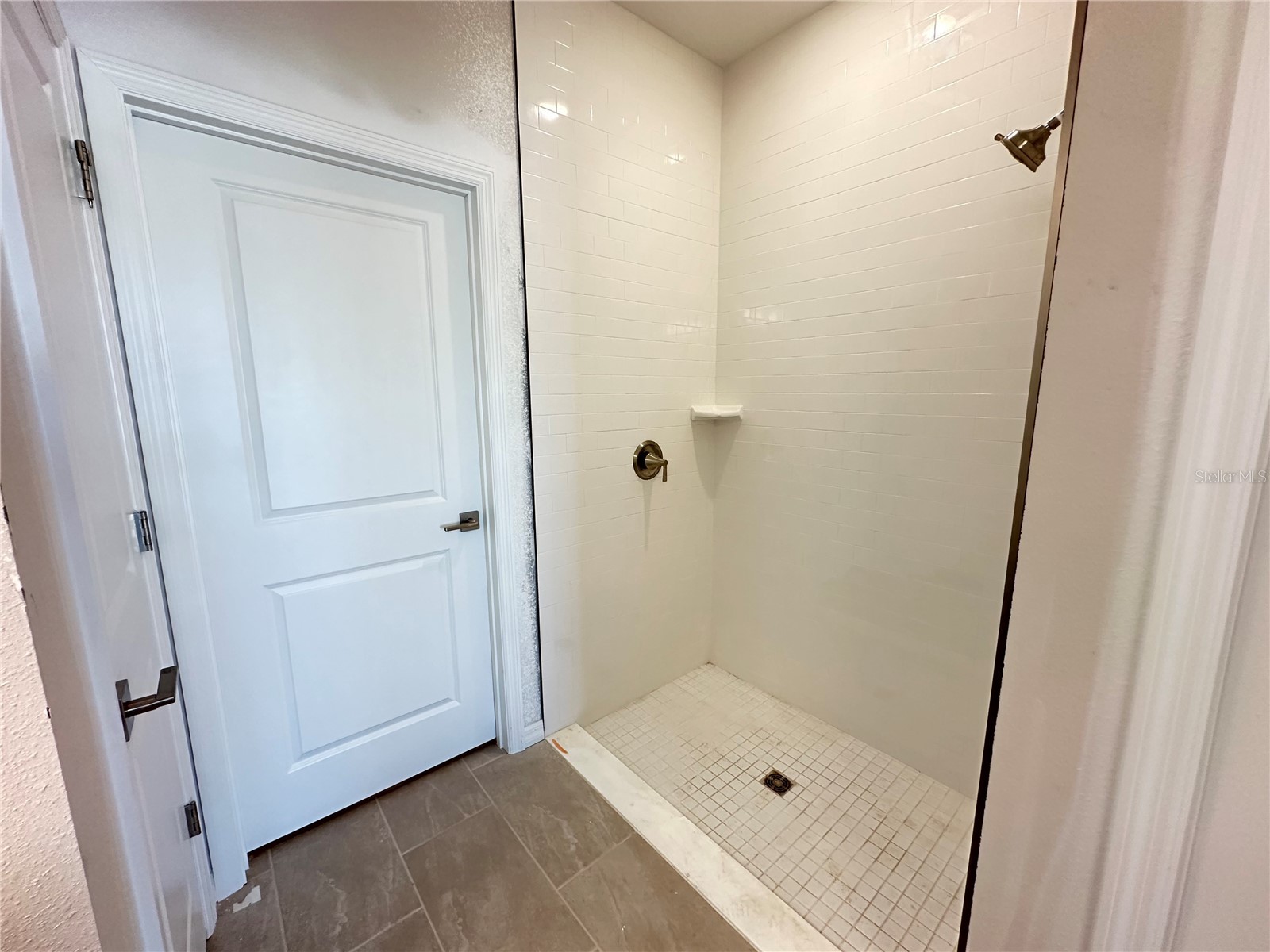 5924 Fresh Flora Drive Wimauma FL 33598 TB8473900 image24