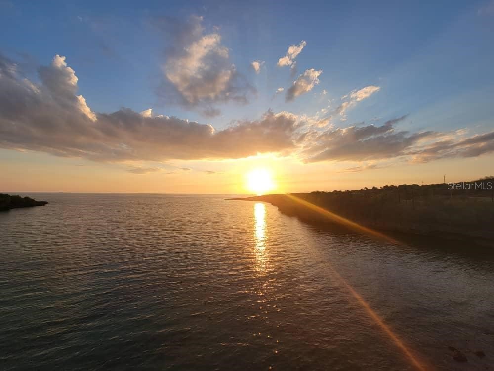 5925 Beverly Drive Hudson FL 34667 TB8477193 image47