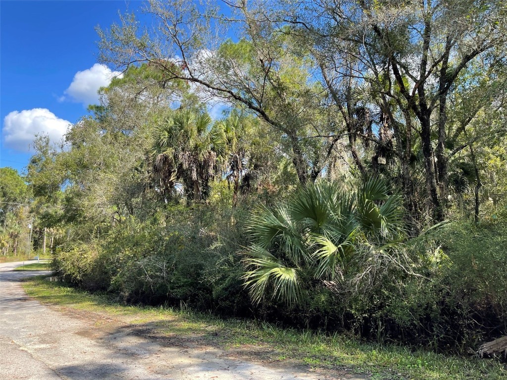 5925 N Summerlake Point Crystal River FL 34428 A4519187 image1