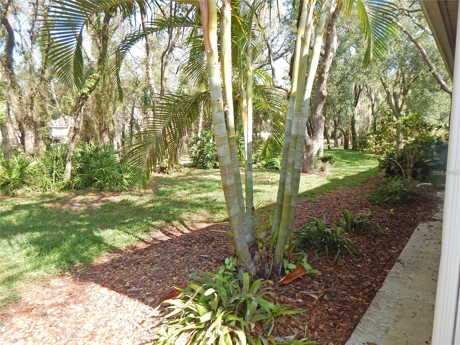 5925 Sandhill Ridge Drive Lithia FL 33547 TB8516387 image11