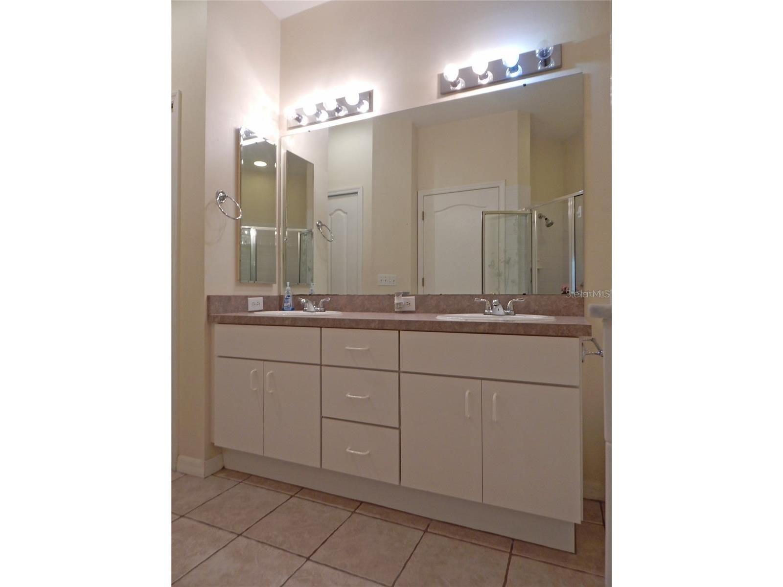 5925 Sandhill Ridge Drive Lithia FL 33547 TB8516387 image20
