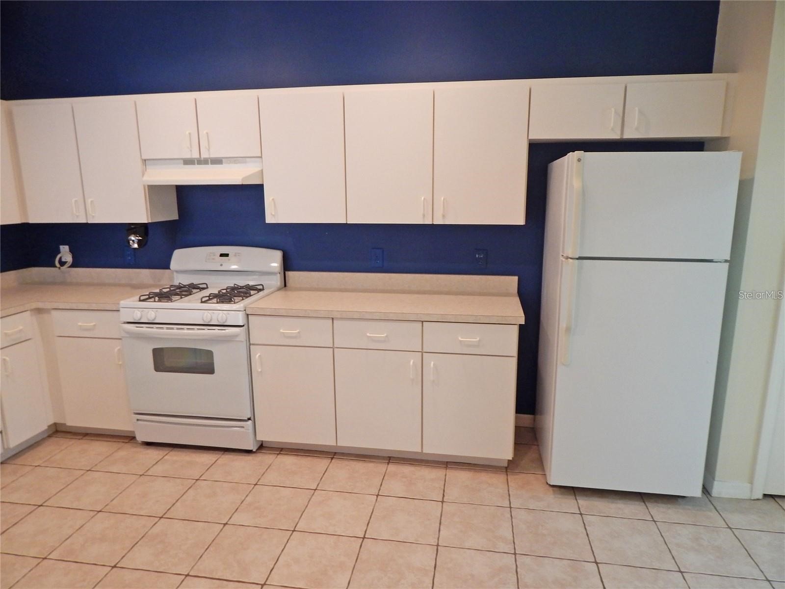 5925 Sandhill Ridge Drive Lithia FL 33547 TB8516387 image26
