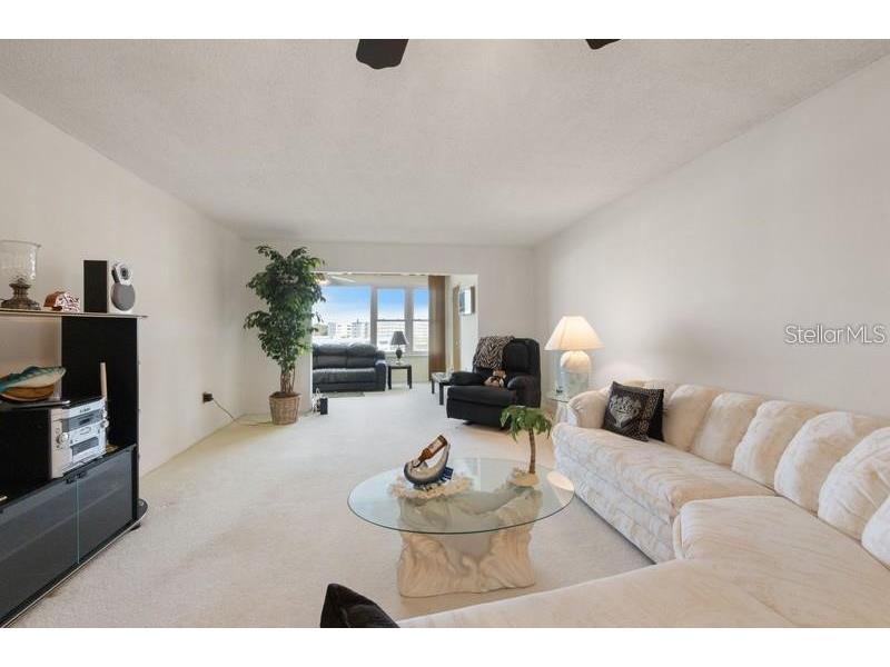 5925 Shore Boulevard S #602 Gulfport FL 33707 TB8432219 image10