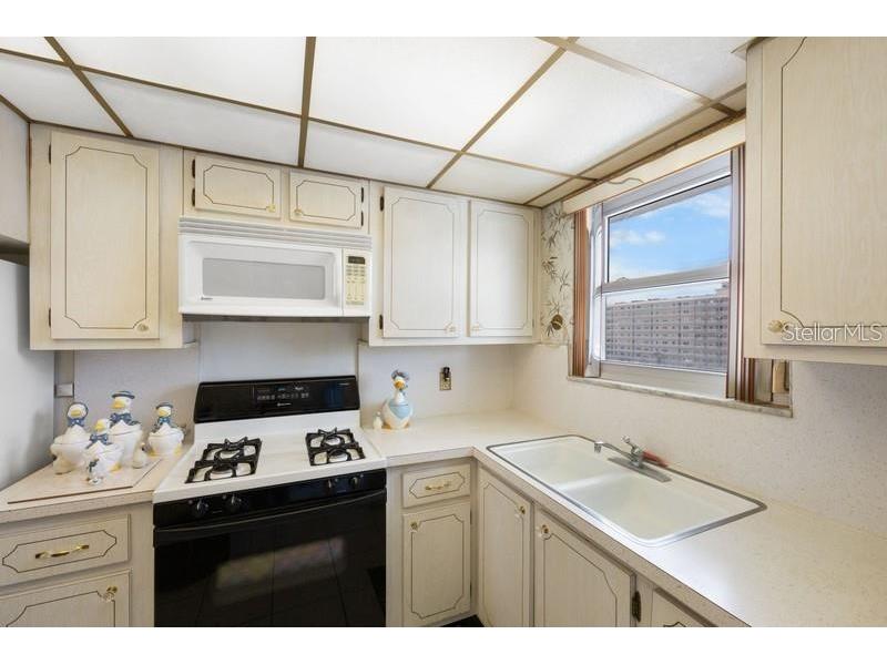 5925 Shore Boulevard S #602 Gulfport FL 33707 TB8432219 image6