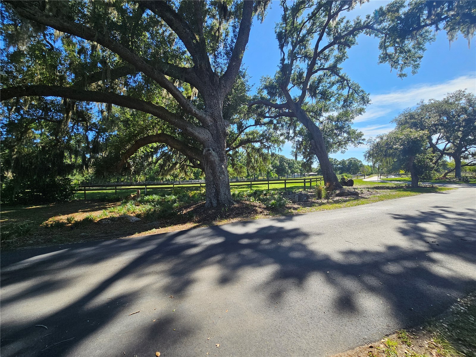 5925 Spencer Parrish Road Parrish FL 34219 A4691994 image18