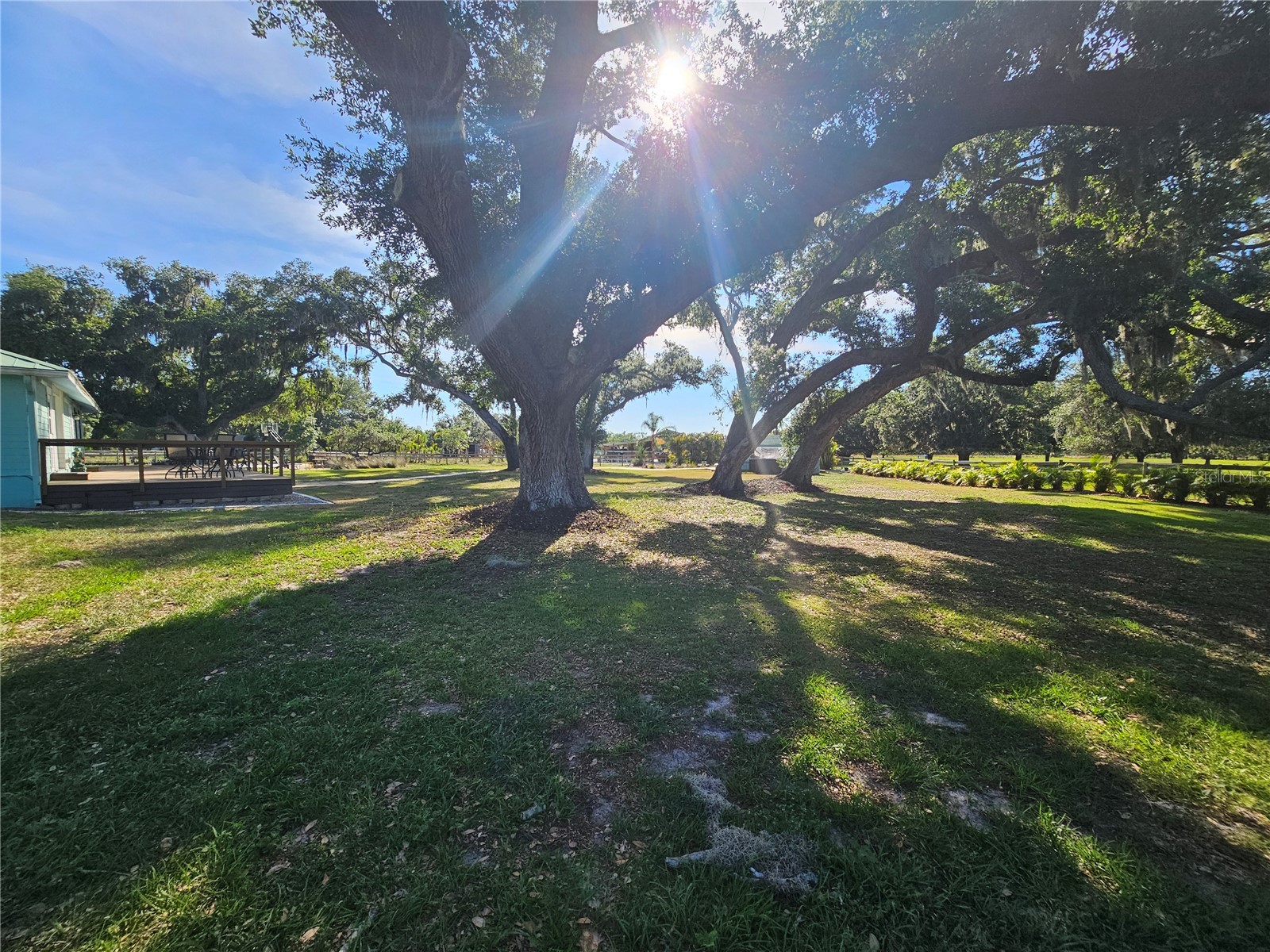 5925 Spencer Parrish Road Parrish FL 34219 A4691994 image19
