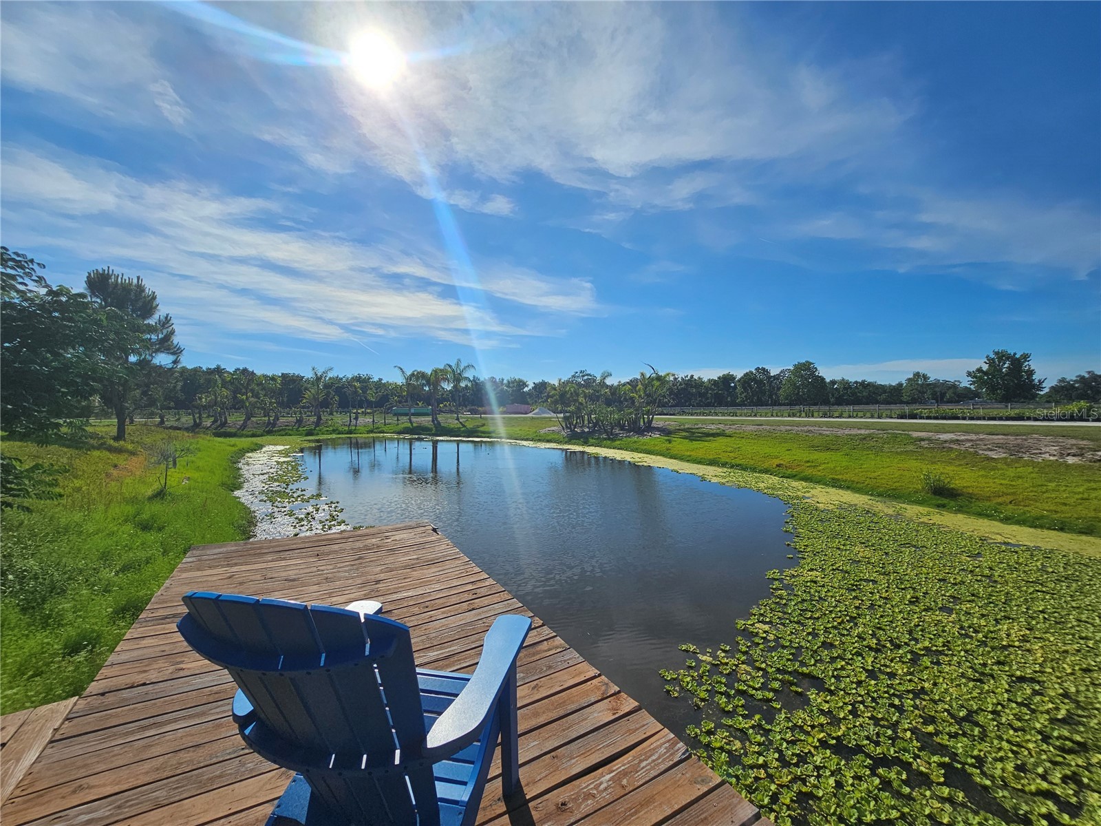 5925 Spencer Parrish Road Parrish FL 34219 A4691994 image3