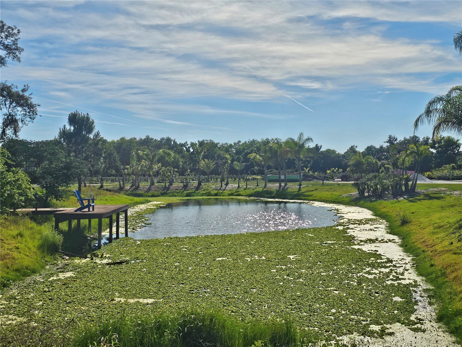 5925 Spencer Parrish Road Parrish FL 34219 A4691994 image4