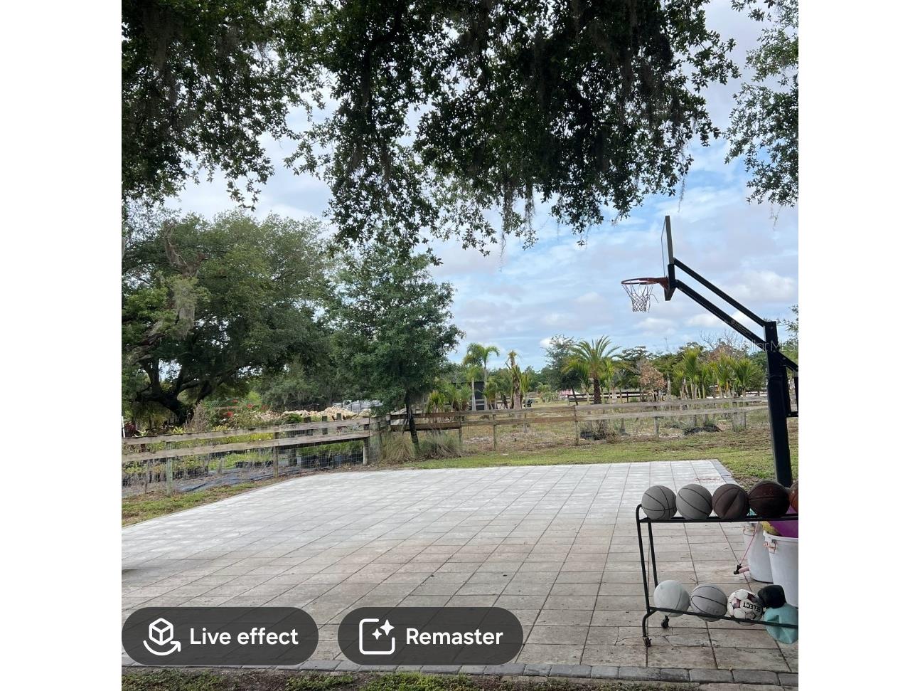 5925 Spencer Parrish Road Parrish FL 34219 A4691994 image44