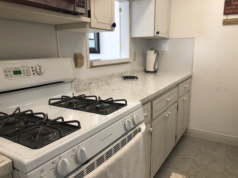 5925 Terrace Park Drive N #111 Saint Petersburg FL 33709 TB8486819 image12