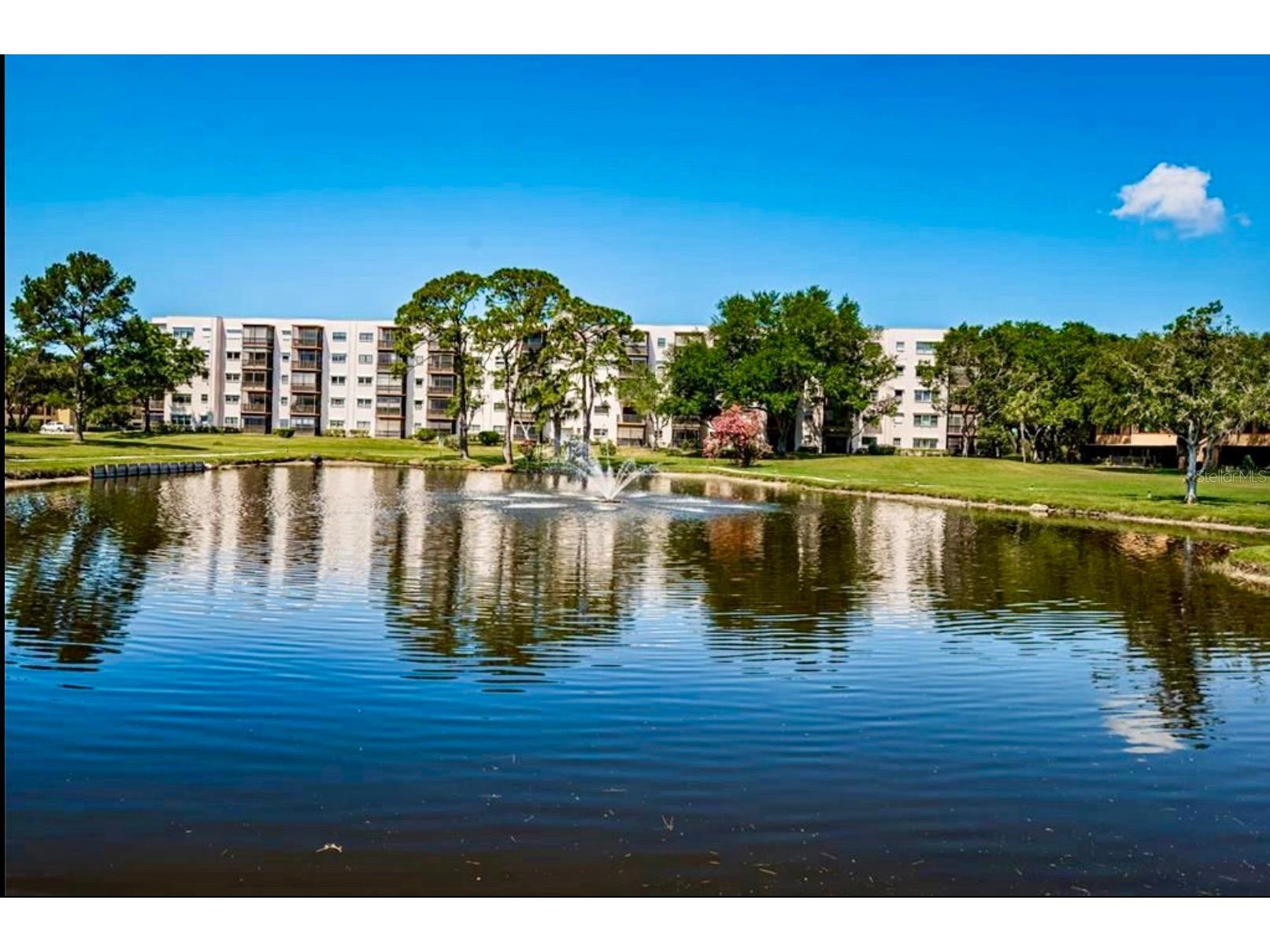 5925 Terrace Park Drive N #203 Saint Petersburg FL 33709 TB8500678 image69