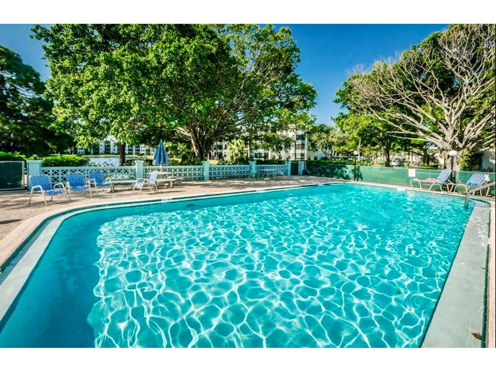 5925 Terrace Park Drive N #203 Saint Petersburg FL 33709 TB8500678 image81