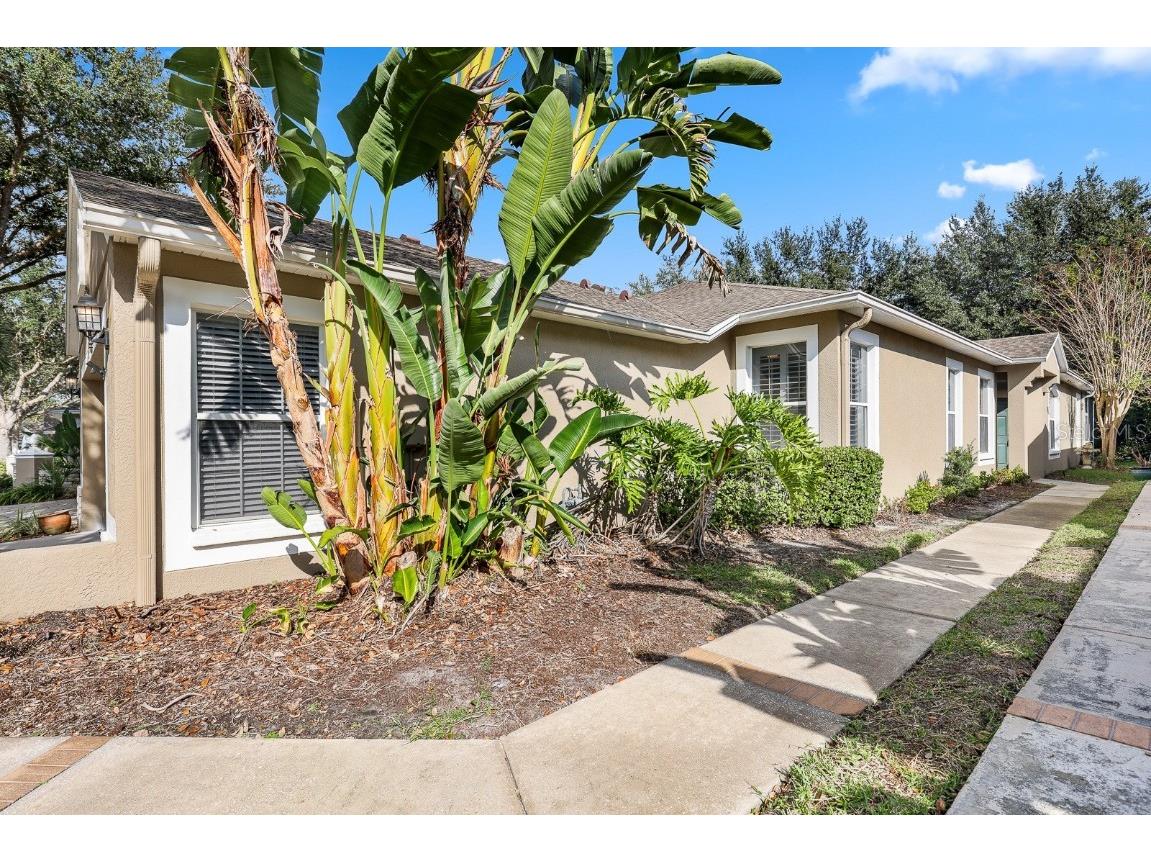 5926 Phoebenest Drive Lithia FL 33547 TB8450634 image25