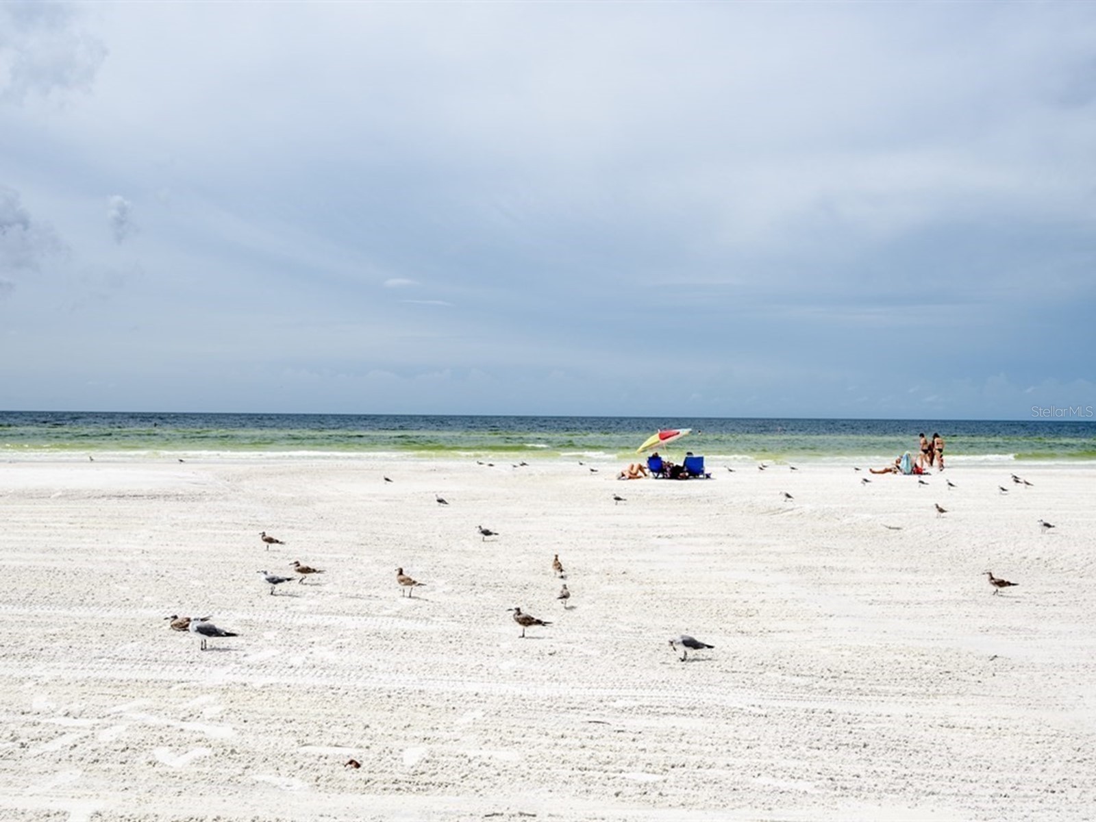 5927 Driftwood Avenue Sarasota FL 34231 A4694069 image61