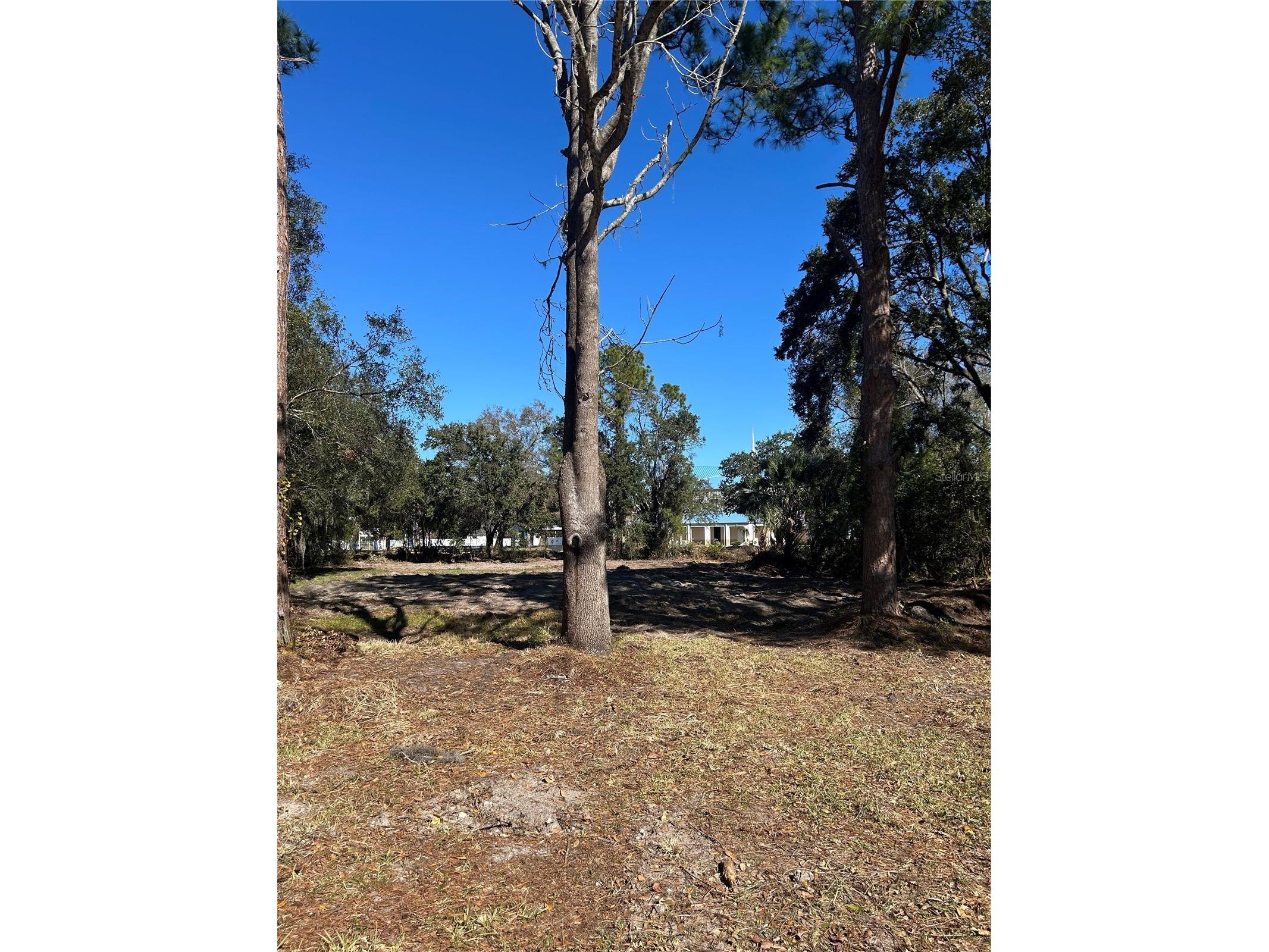 5927 Lynn Road Tampa FL 33624 TB8466136 image1