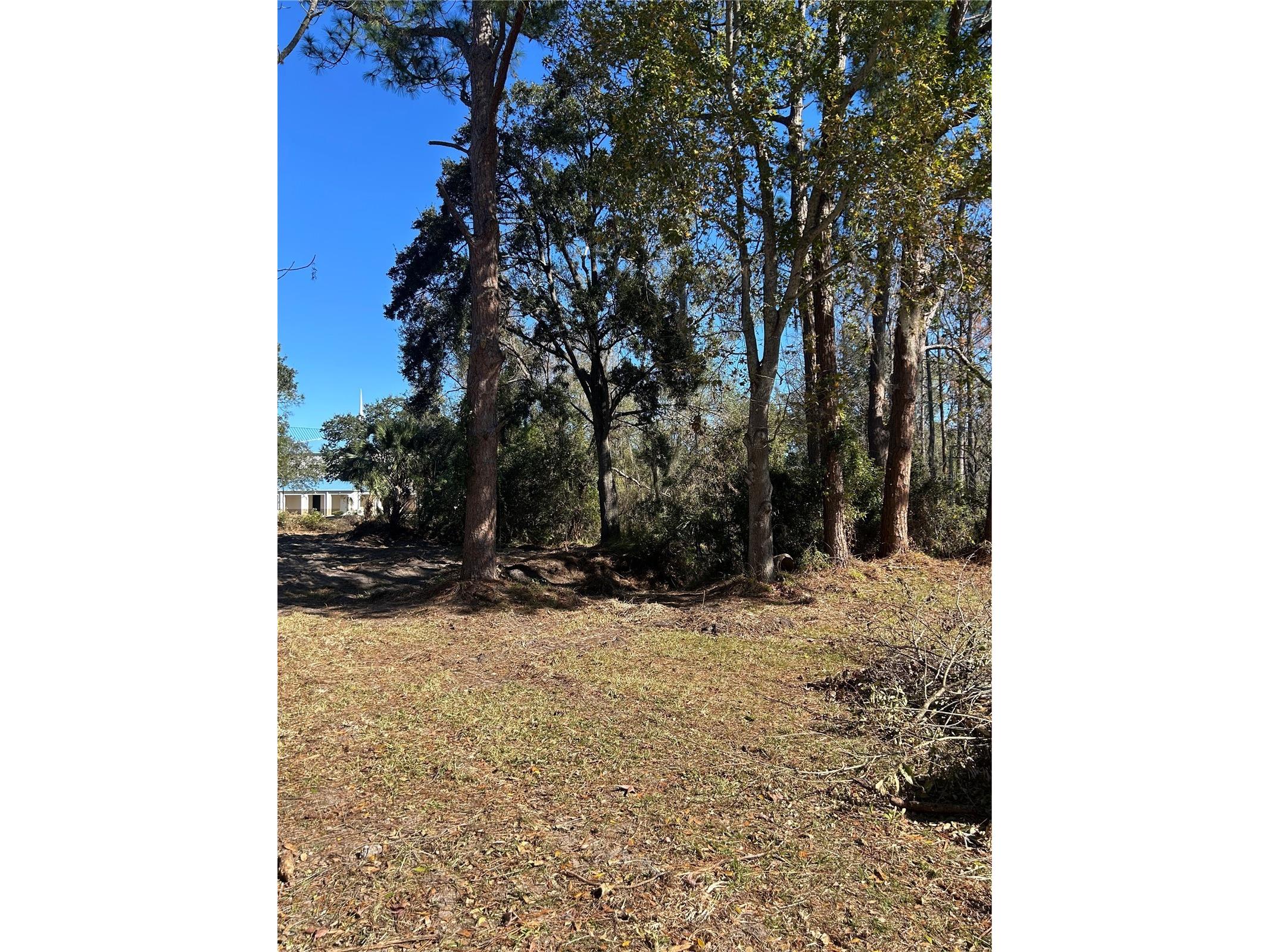 5927 Lynn Road Tampa FL 33624 TB8466136 image2