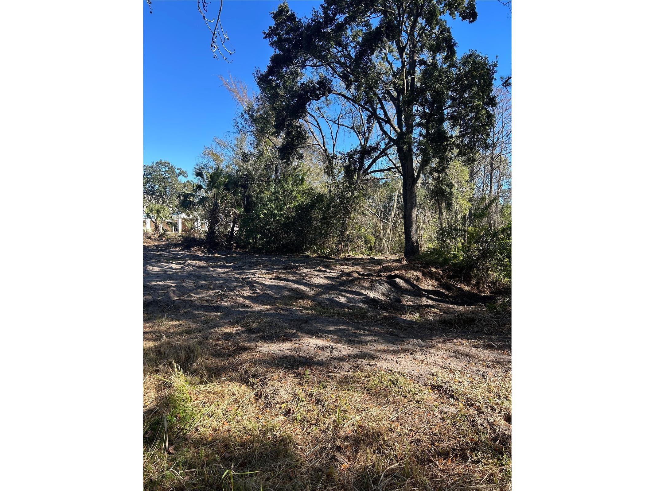 5927 Lynn Road Tampa FL 33624 TB8466136 image3