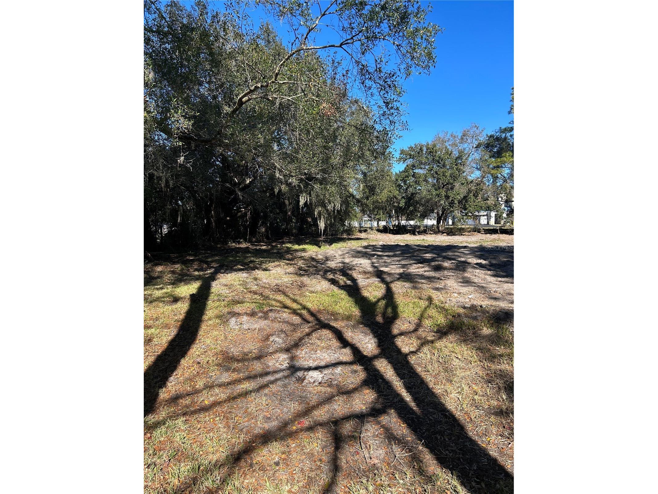 5927 Lynn Road Tampa FL 33624 TB8466136 image4
