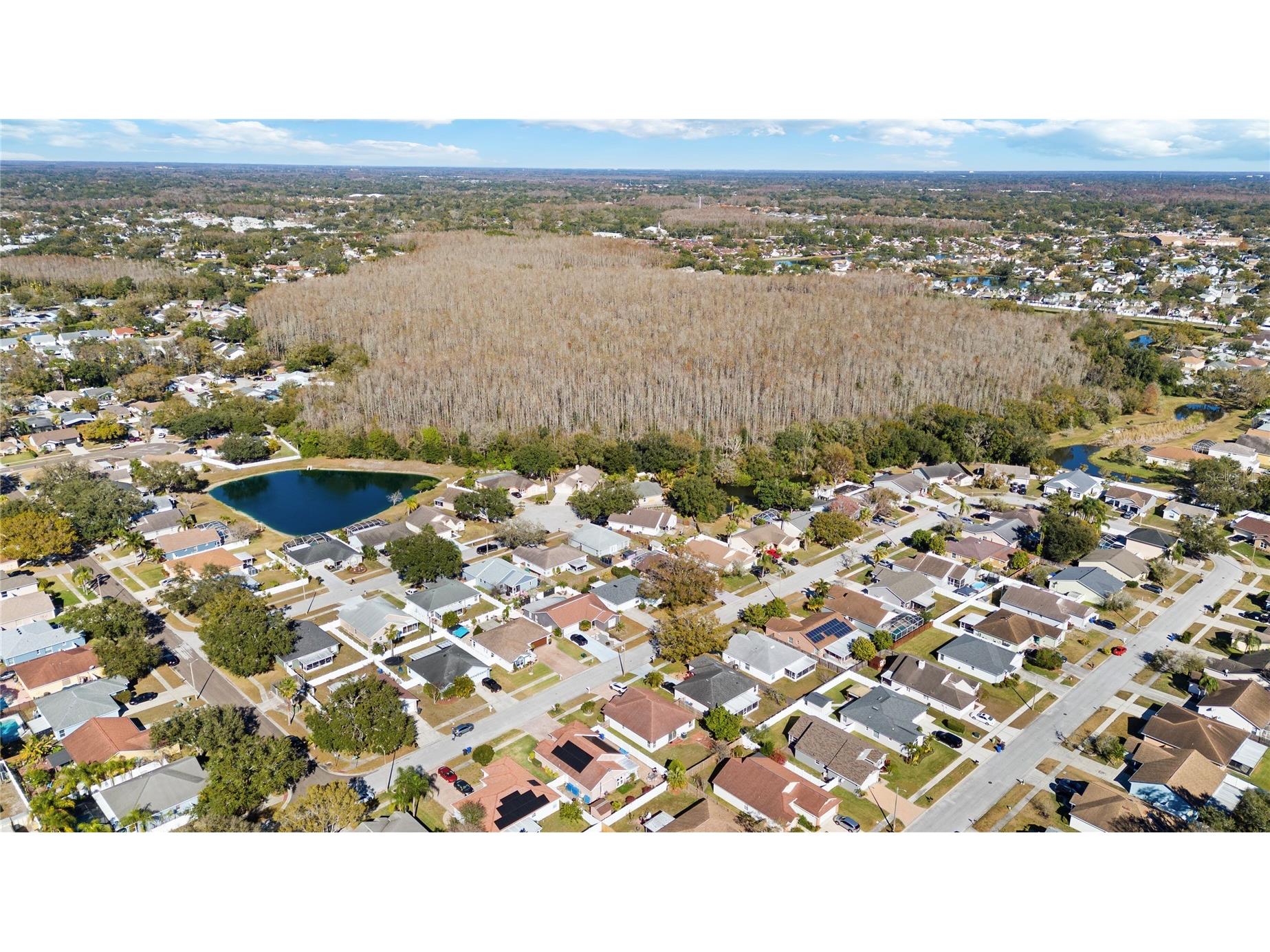 5927 Taywood Drive Tampa FL 33624 TB8469127 image42