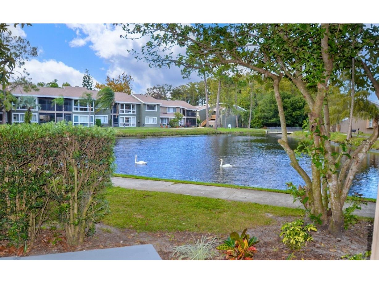 5929 Windhover Drive #A02 Orlando FL 32819 O6261916 image16