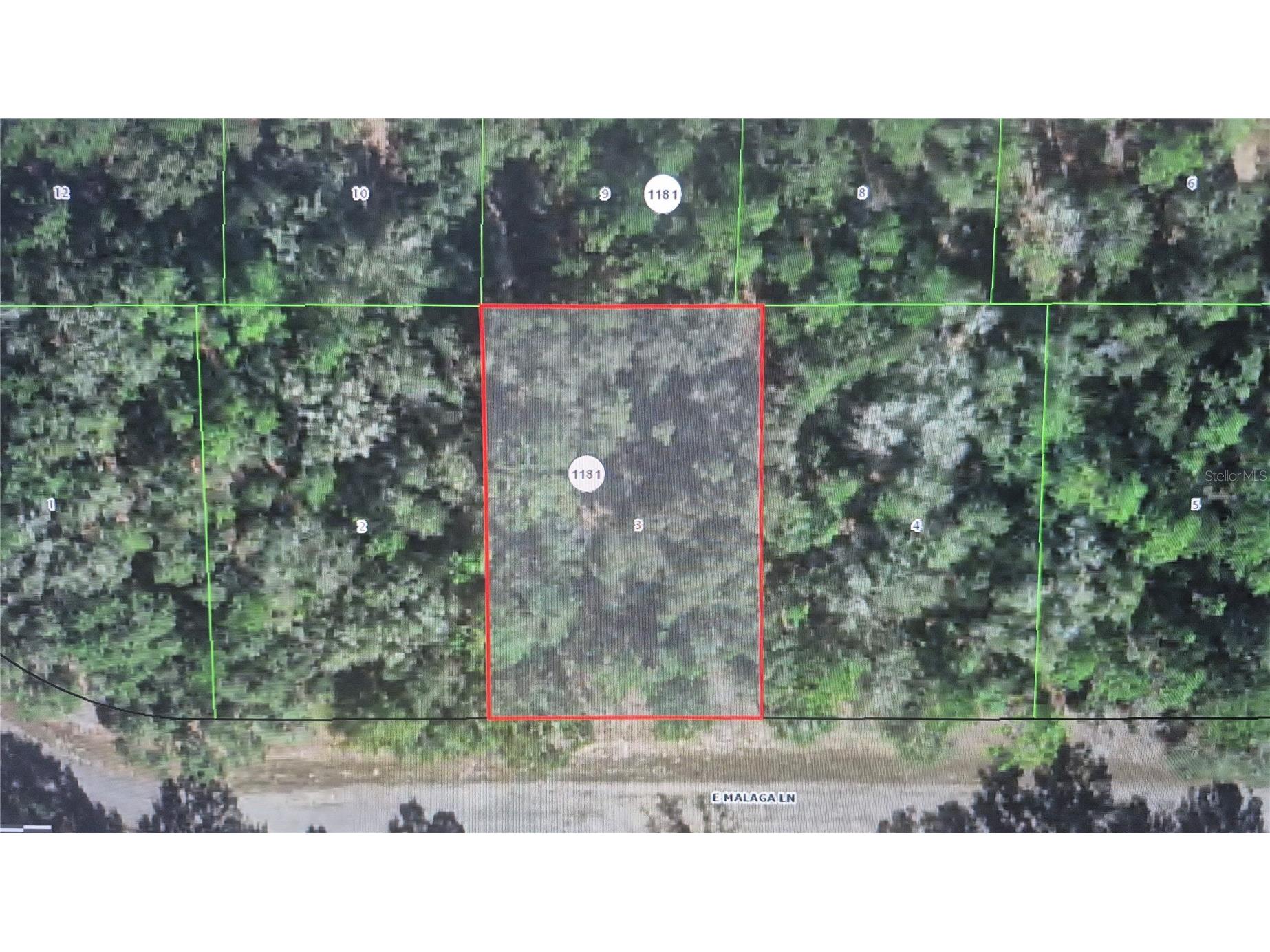 593 E Malaga Lane Dunnellon FL 34434 O6411248 image1