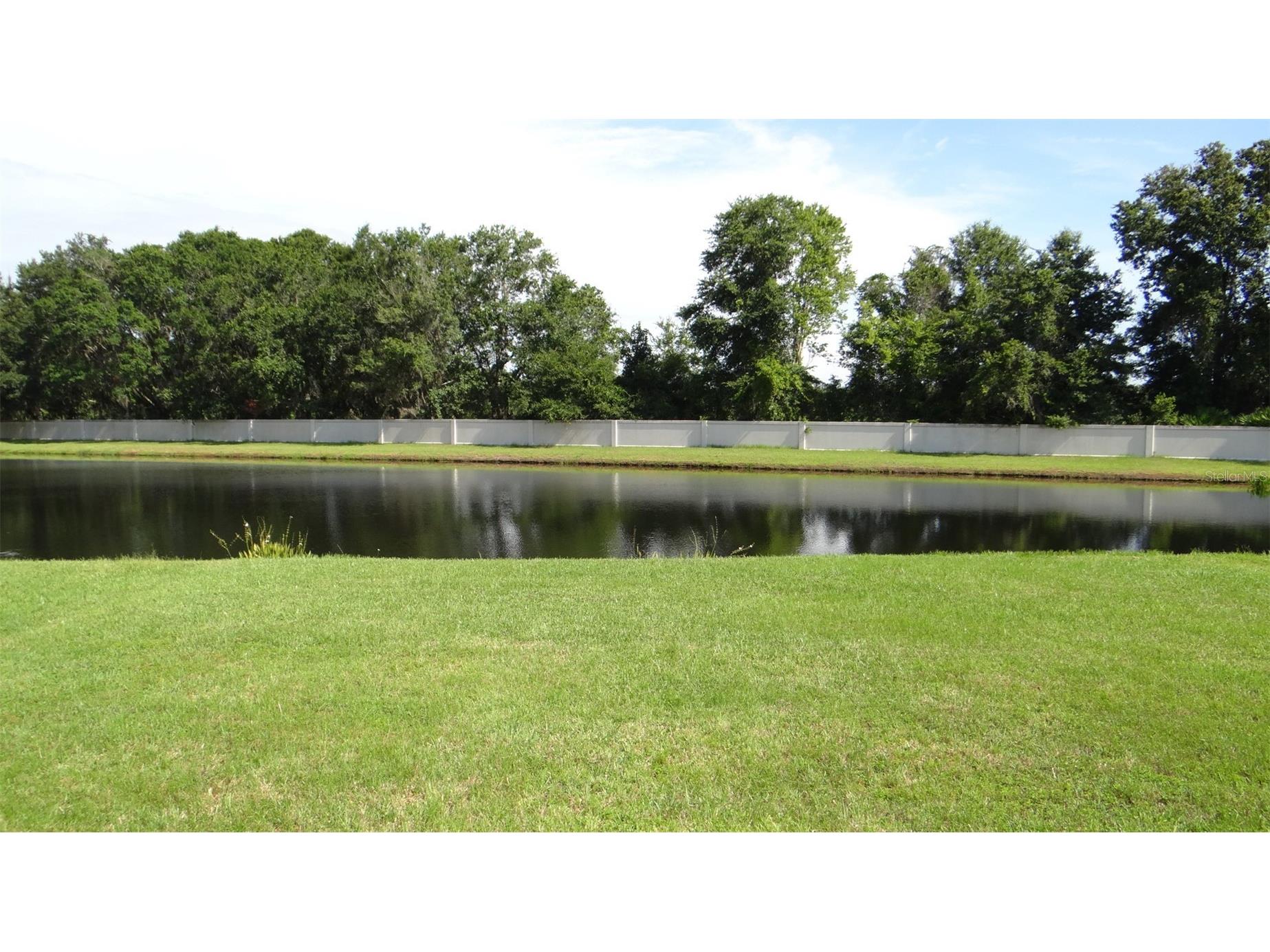 5930 War Admiral Drive Wesley Chapel FL 33544 TB8508544 image12