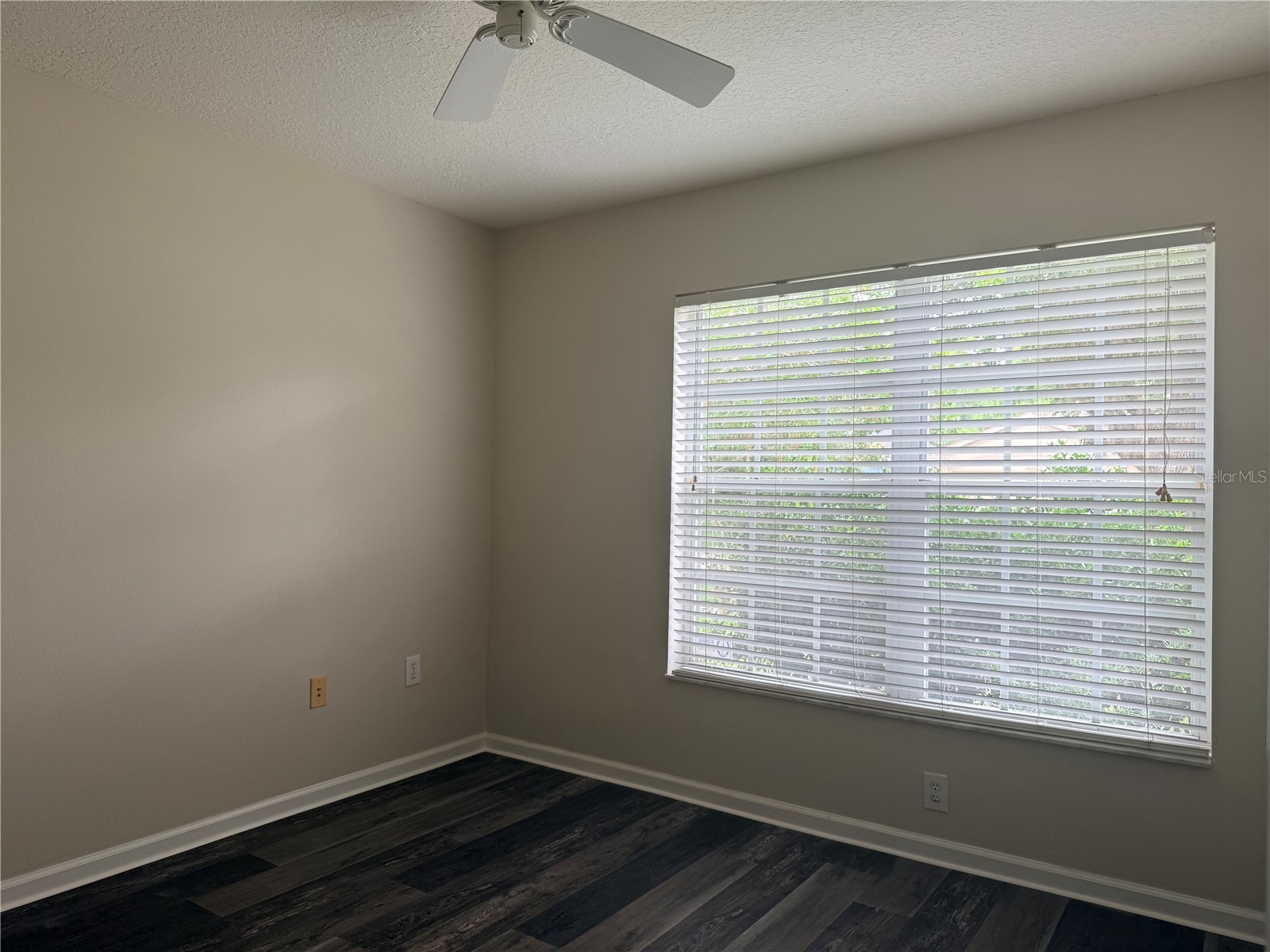5930 War Admiral Drive Wesley Chapel FL 33544 TB8508544 image6