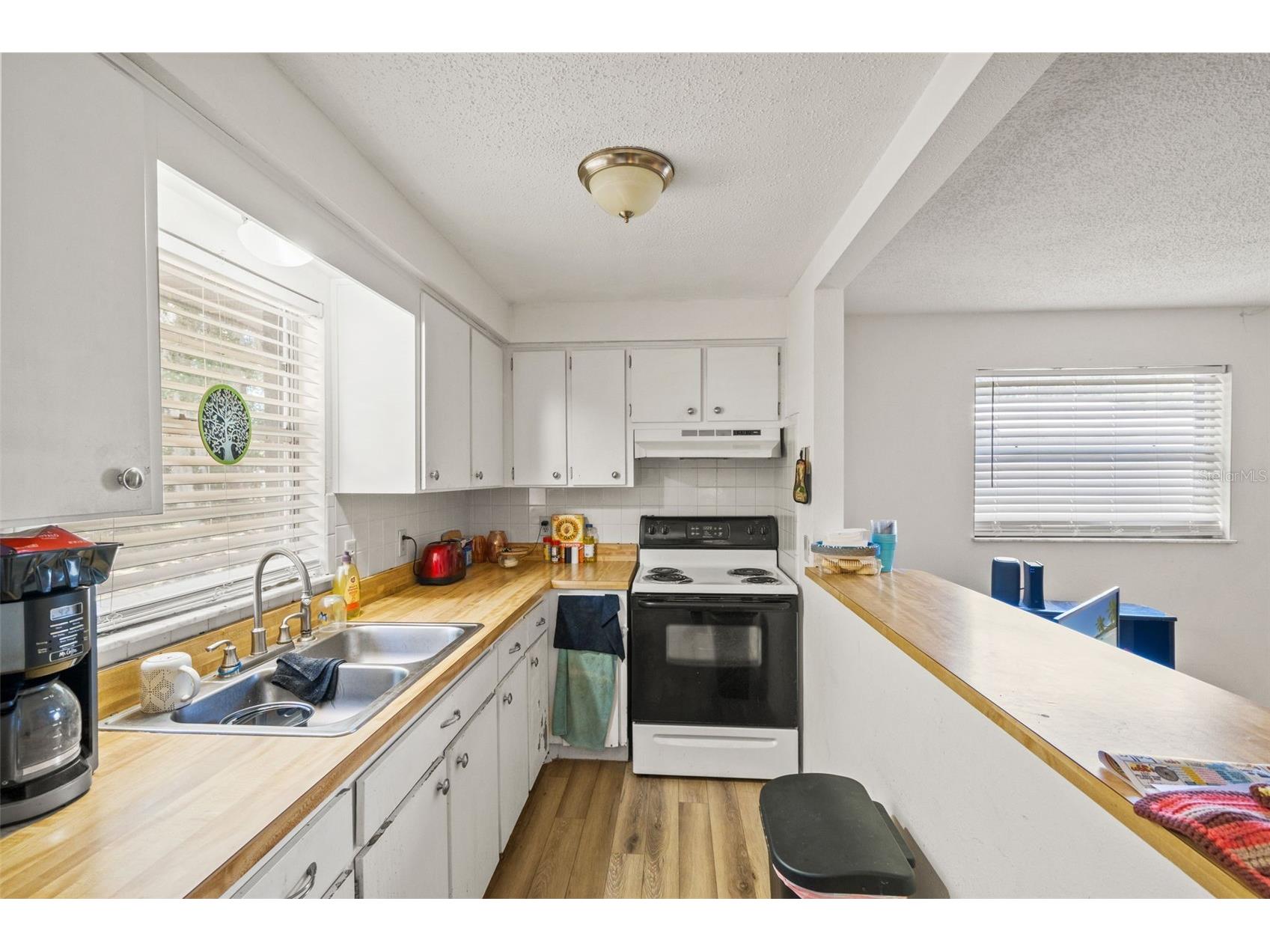 5931 13th Street Zephyrhills FL 33542 W7884944 image18