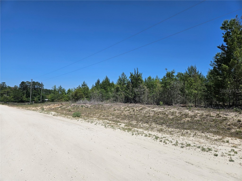 5931 SE 128th Terrace Morriston FL 32668 OM699706 image1
