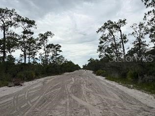 5932 Canopy Rd Sebring FL 33875 O6375225 image1