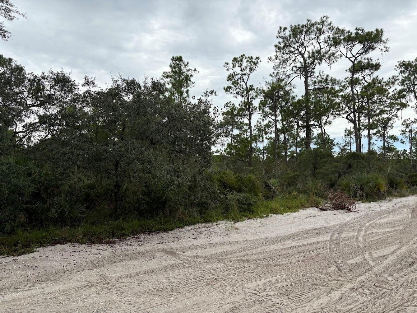 5932 Canopy Rd Sebring FL 33875 O6375225 image3
