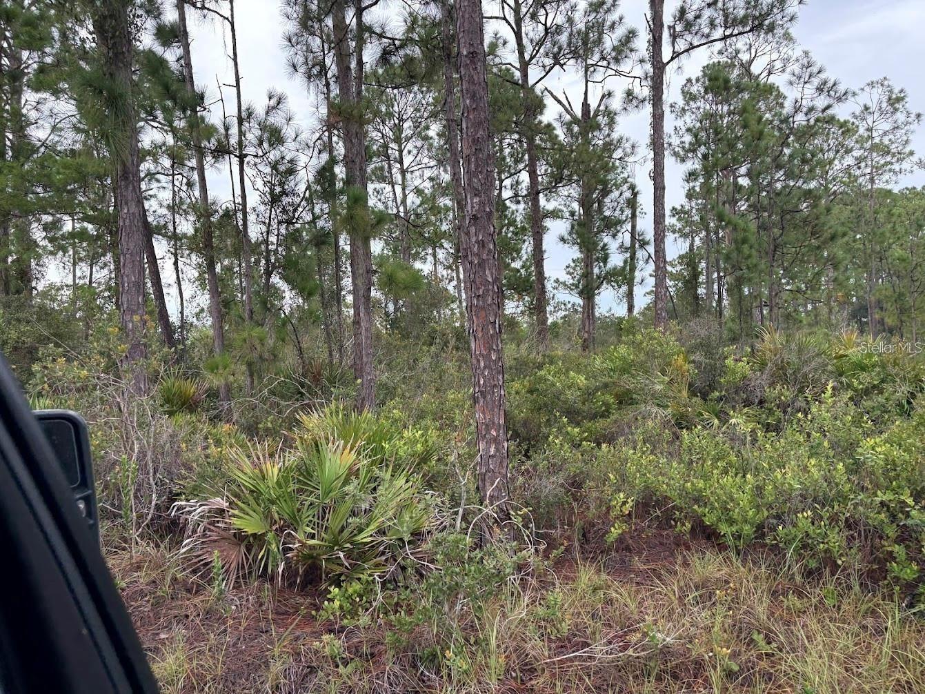 5932 Canopy Rd Sebring FL 33875 O6375225 image6