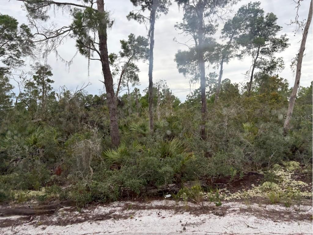 5932 Canopy Road Sebring FL 33875 O6310873 image5