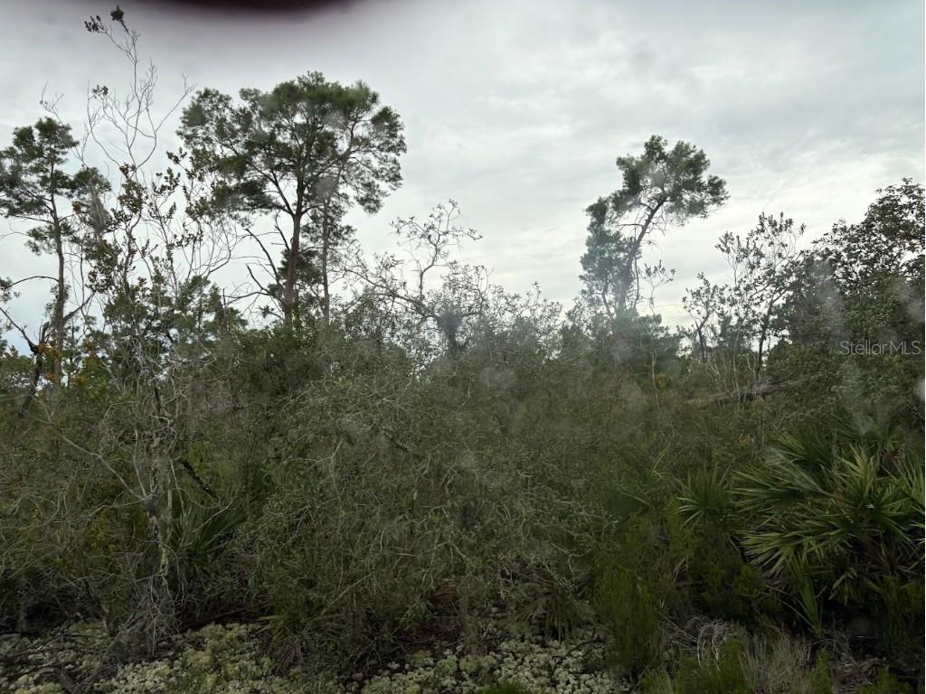 5932 Canopy Road Sebring FL 33875 O6310873 image7