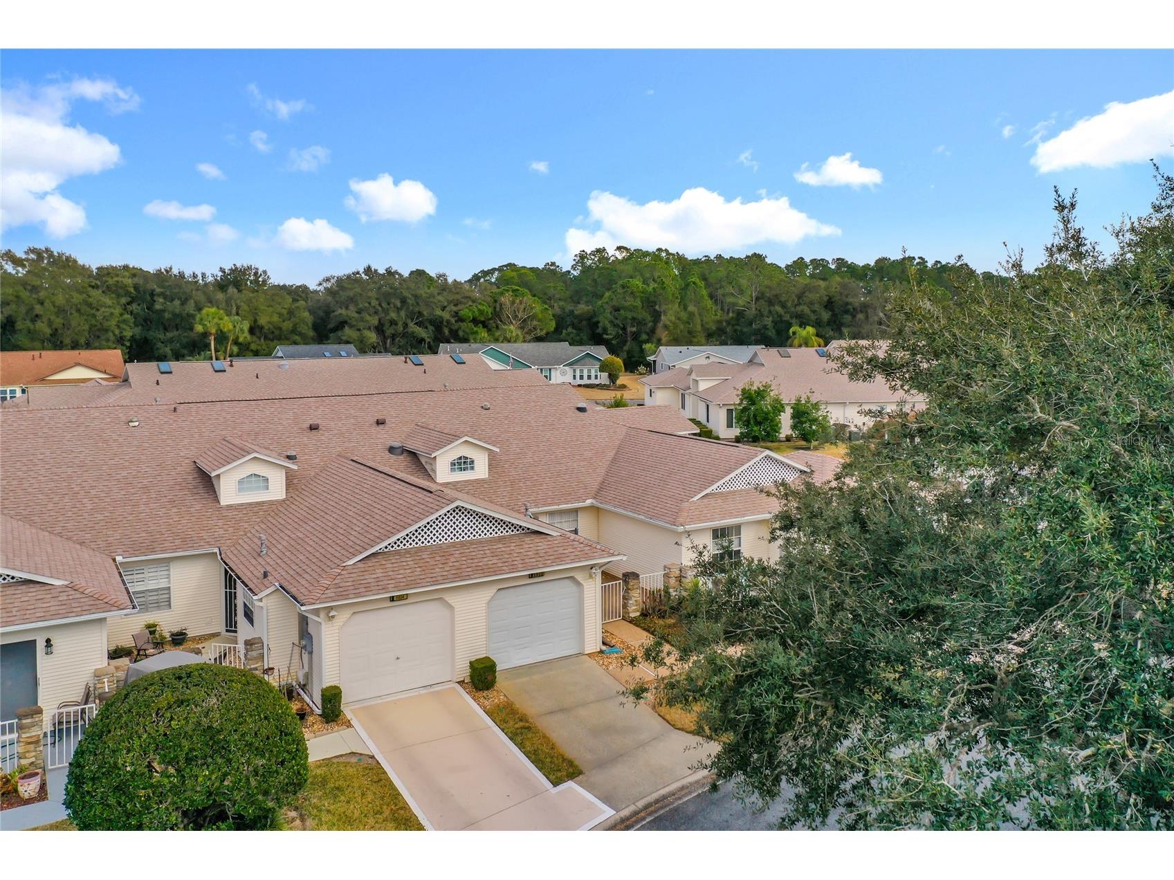 5932 Mcenroe Court Leesburg FL 34748 S5143845 image30