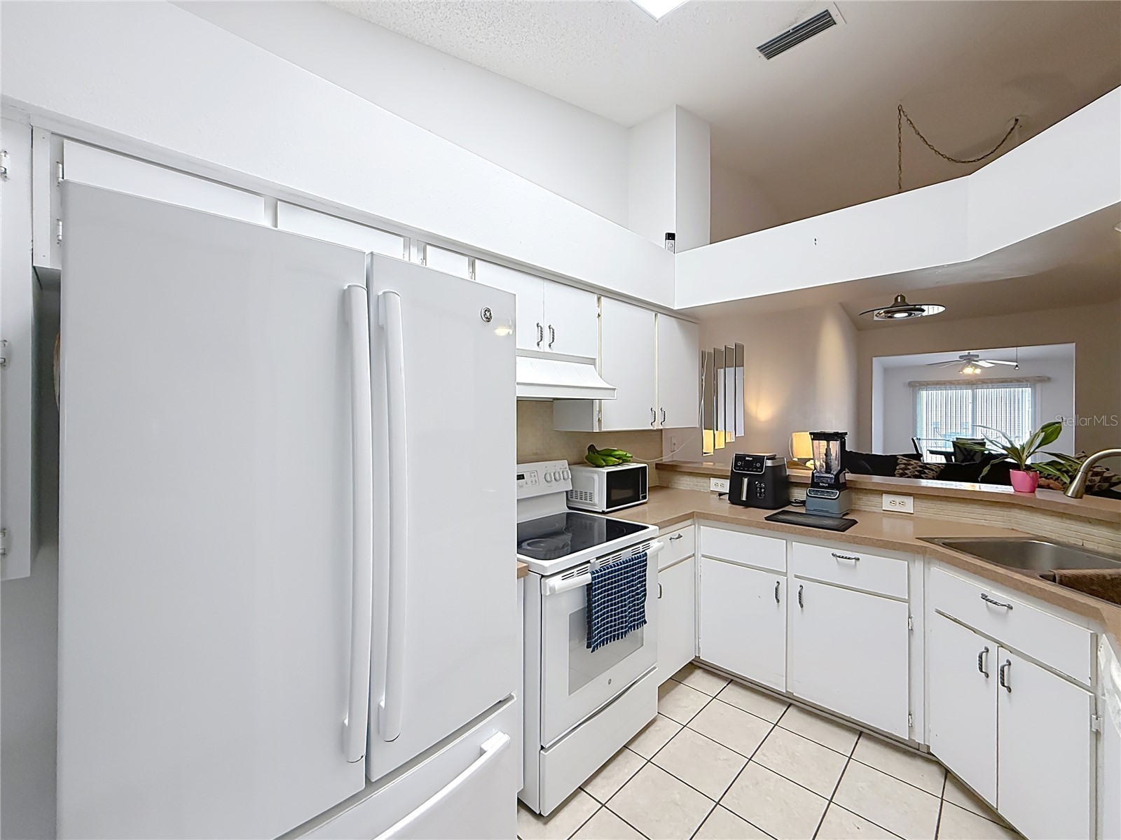 5932 Mcenroe Court Leesburg FL 34748 S5143845 image6
