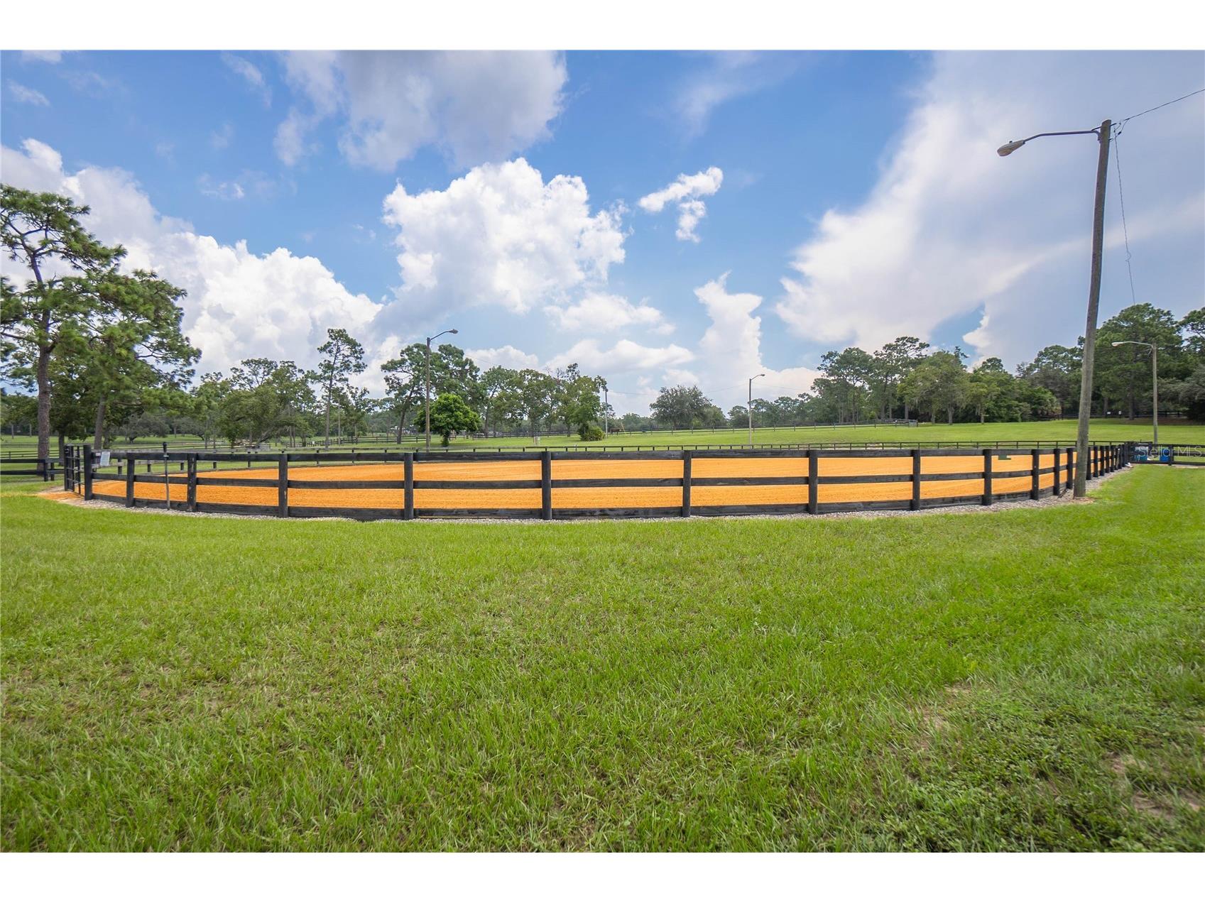5932 N Flagstaff Avenue Beverly Hills FL 34465 OM724273 image46
