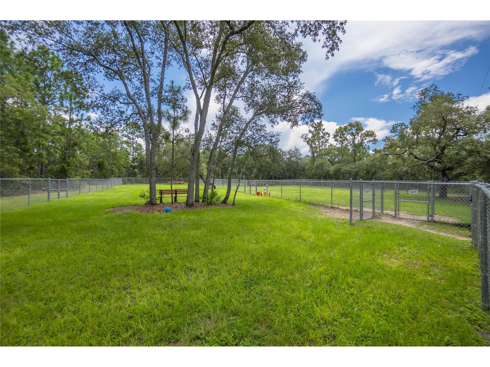 5932 N Flagstaff Avenue Beverly Hills FL 34465 OM724273 image58