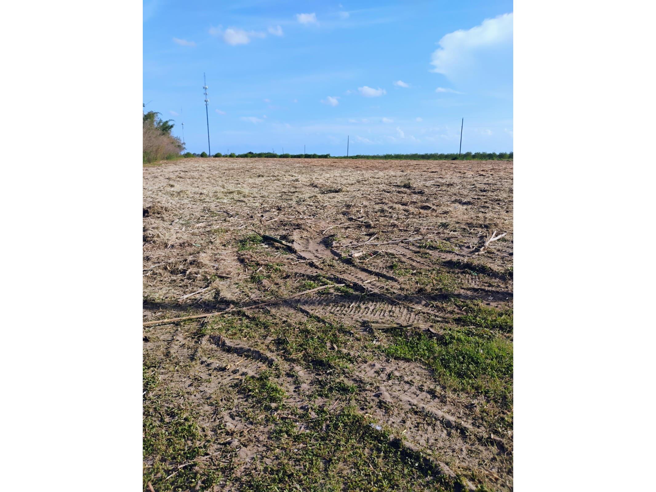 5933 Mike Kahn Road Sebring FL 33876 O6425420 image2