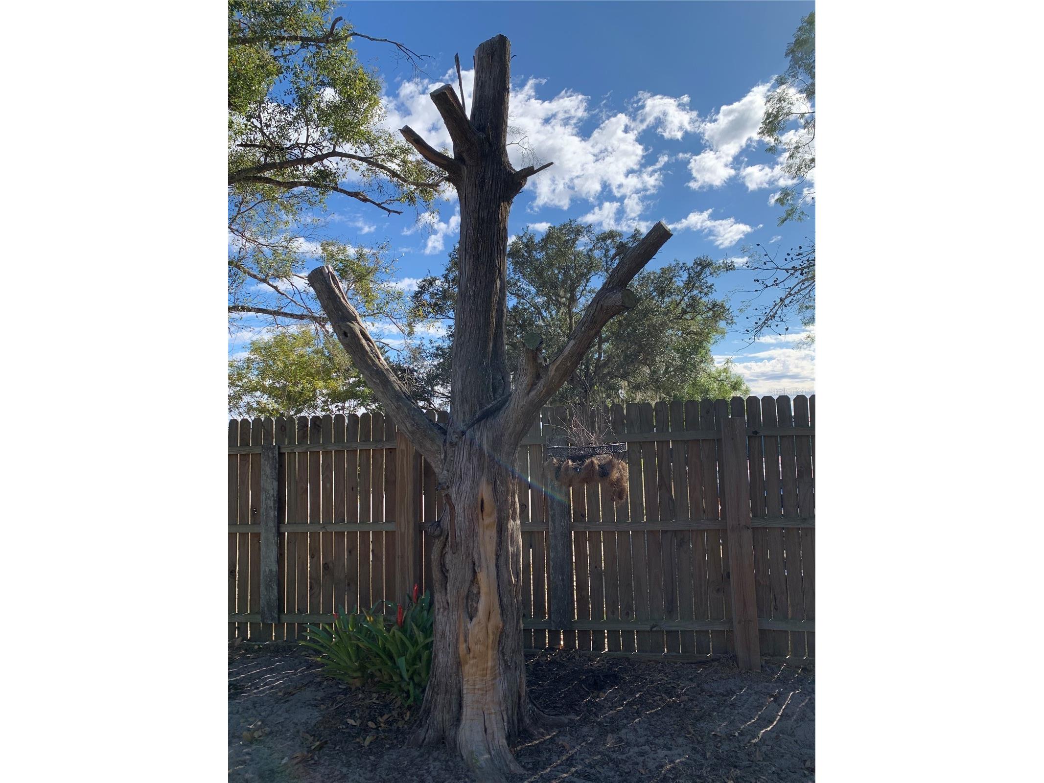 5933 NE County Road 660 Arcadia FL 34266 C7521170 image37